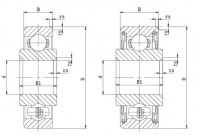 Inch Series Extended Inner Ring Bearing