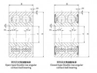 Double Row Angular Contact Ball Bearing