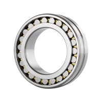 Full Ball / Roller Bearings